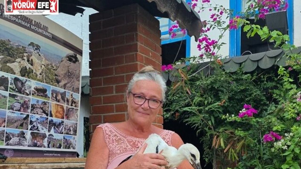 Yavru Leylek EKODOSD’da bakıma alındı, göç için hazırlanıyor