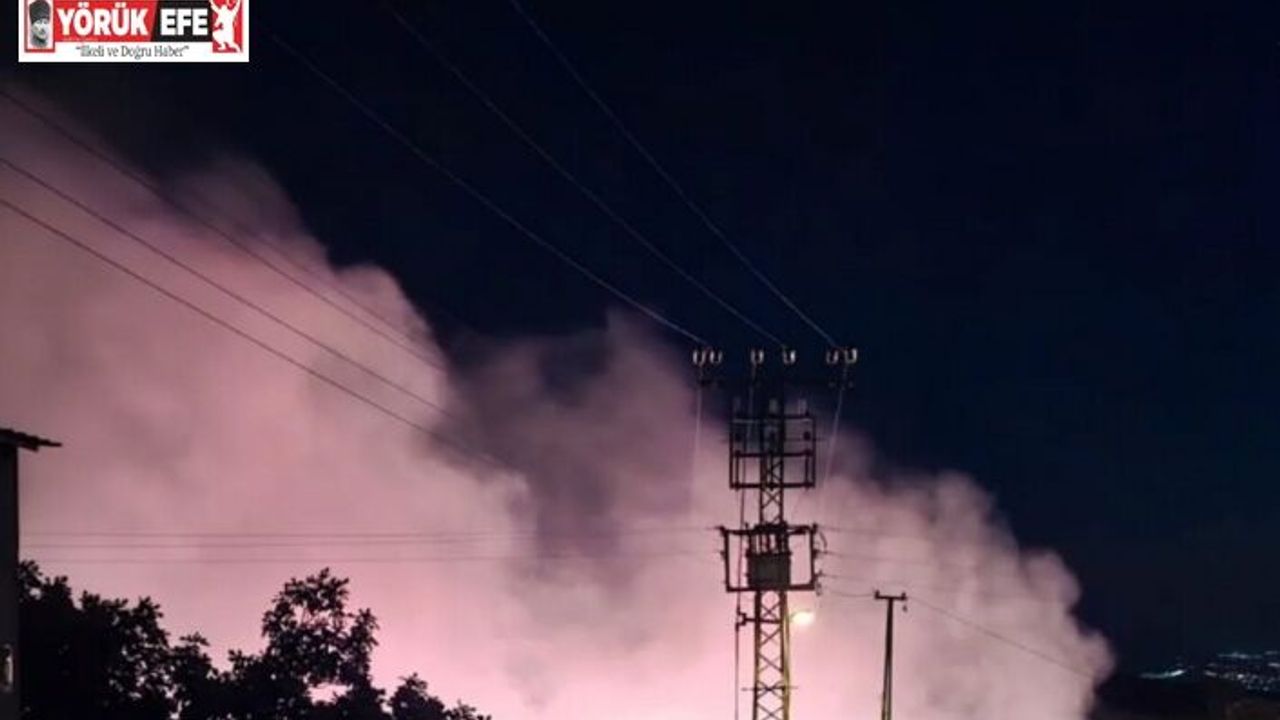 Zeytinlik alanda çıkan yangın büyümeden kontrol altına alındı