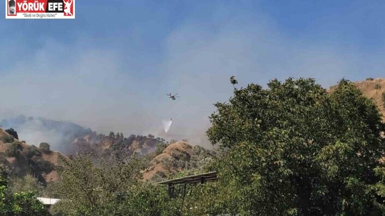 Zirai yangına havadan ve karadan büyük mücadele