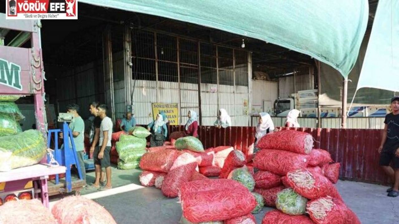 Acarlar’da eli ayağı tutan herkes çalışıyor