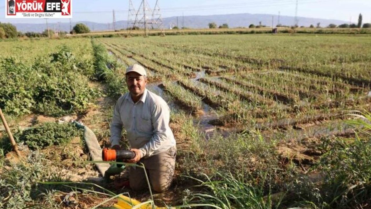 Aydın’da su kıtlığı çiftçilerin mesai saatlerini değiştirdi