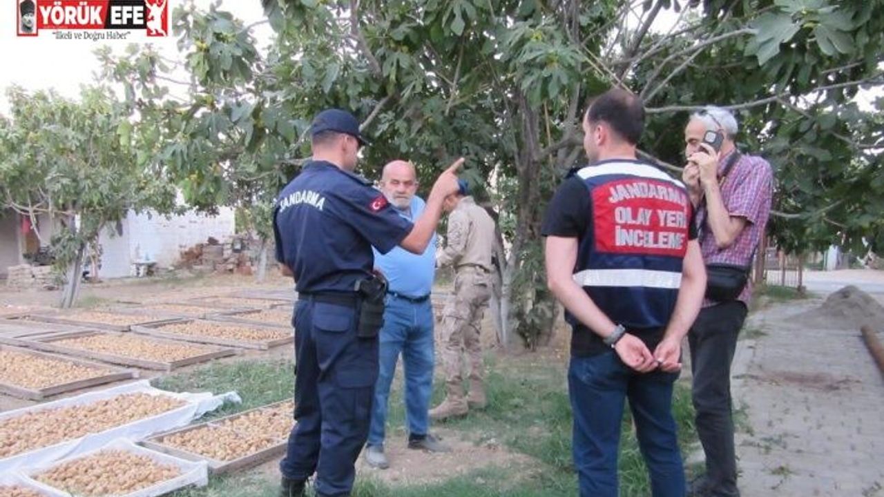 Germencik’te incir hırsızlığına karşı jandarmadan sıkı denetim
