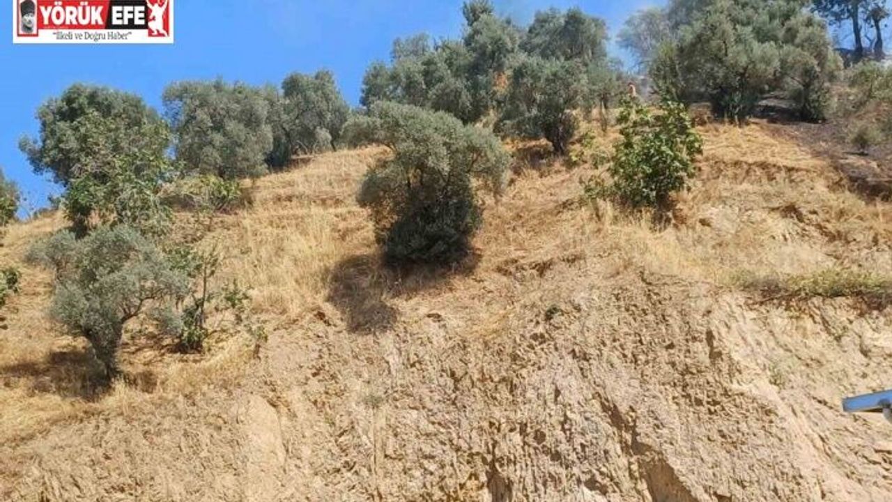 Köşk’teki zirai alan yangını kontrol altına alındı