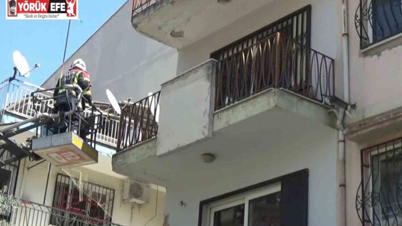 Sevimli kediyi kurtarmak için tüm ekipler seferber oldu, o kurtarılacağı anda atlayıp gitti