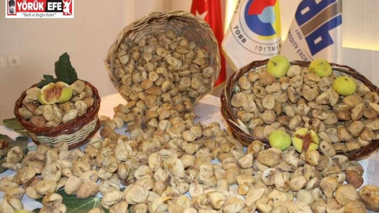 "Kuru incir ihracatında, üretici üzerine kirli oyun iddiası"