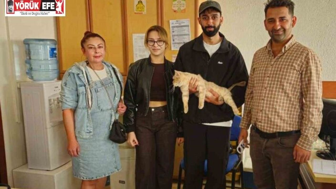 Çip sayesinde kayıp kedi kısa sürede sahibine kavuştu