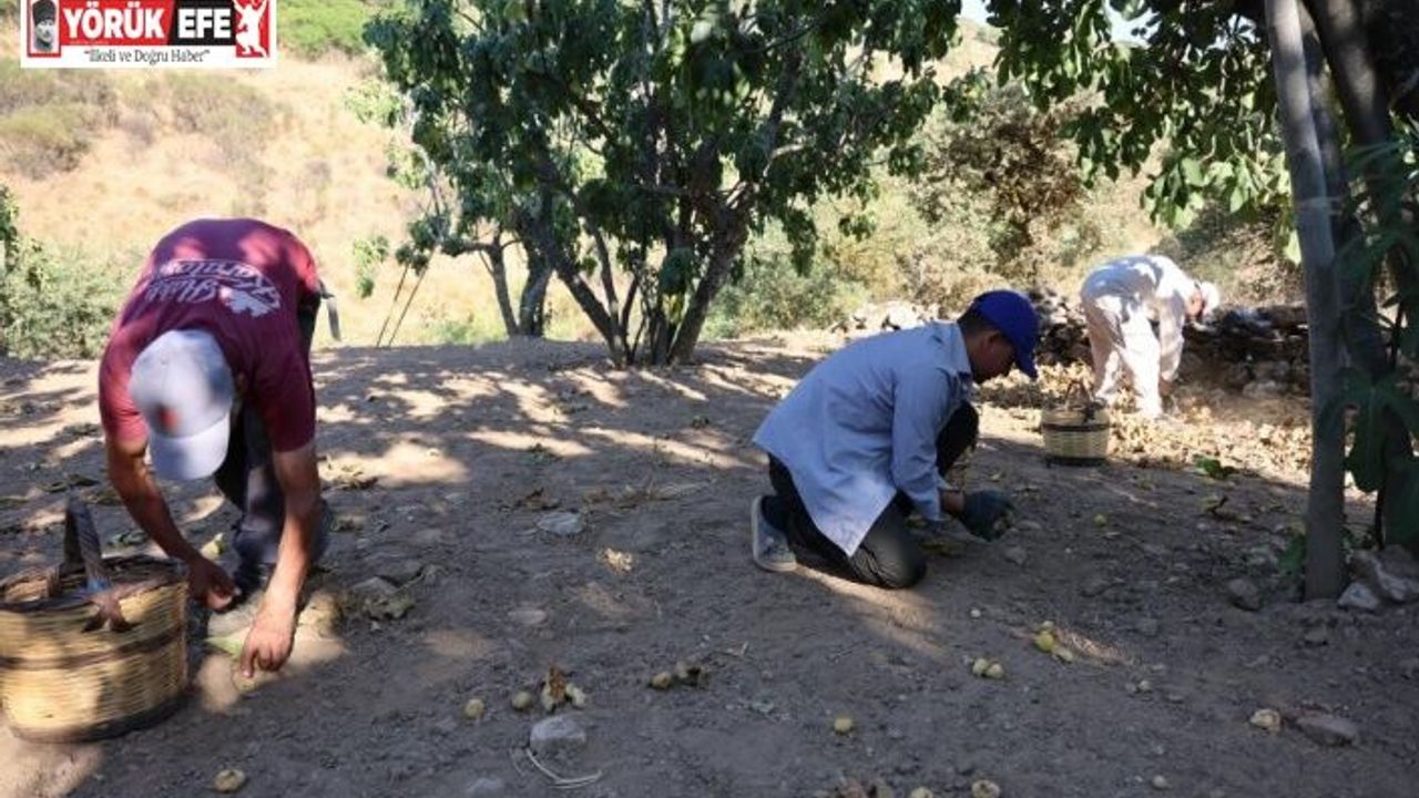 İncir üreticisi Aydın Ziraat Odası Başkanı Kendirlioğlu’na ateş püskürdü