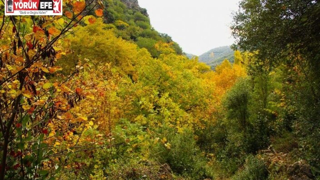 Sonbaharın güzelliğine bürünen Koçak Kanyonu’na dikkat çektiler