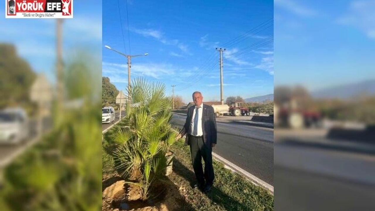 Yeşil Sultanhisar için ağaçlandırma çalışmaları sürüyor