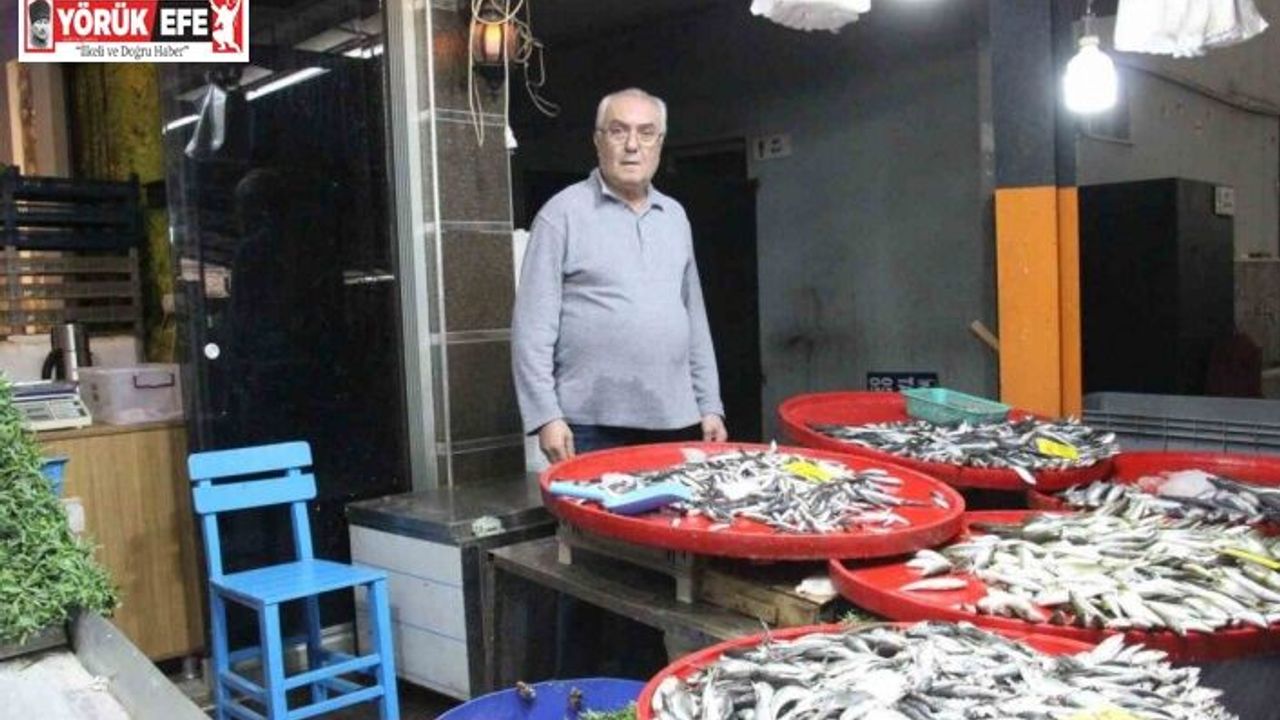 Bozdoğan’da balık tezgahlarının en çok tercih edilen çeşidi hamsi oldu