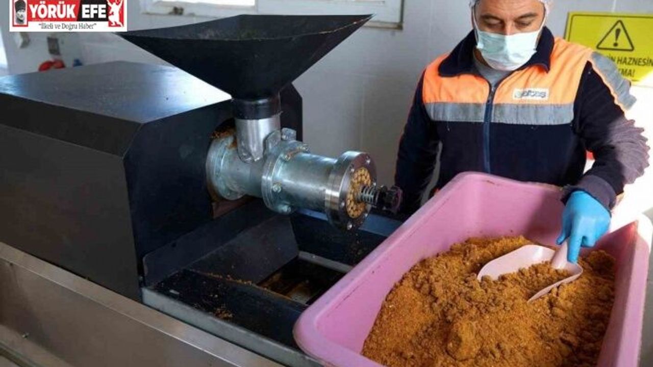 Didim’de her geri dönüşüm, can dostlara umut olacak