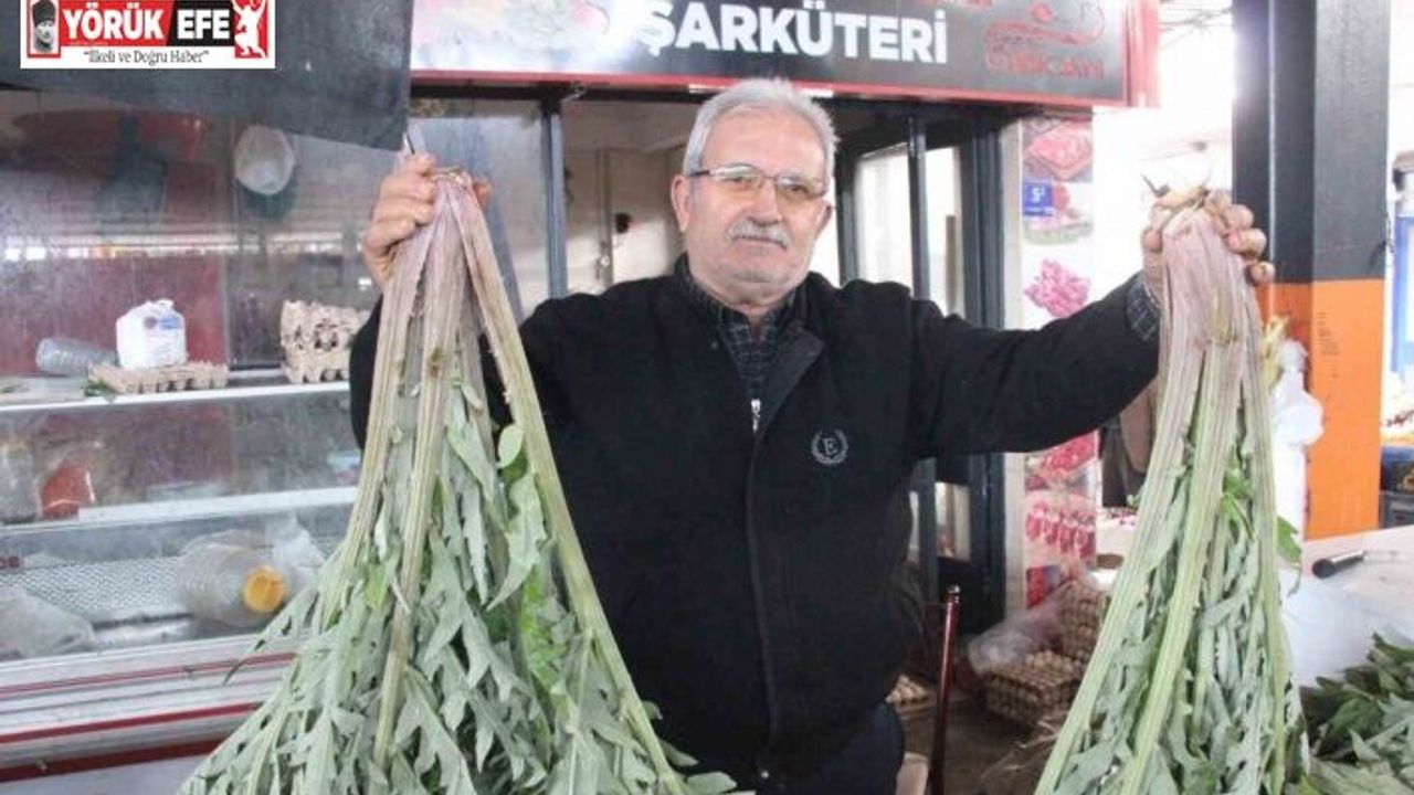 Karaciğer dostu enginar pazarda yoğun ilgi görüyor