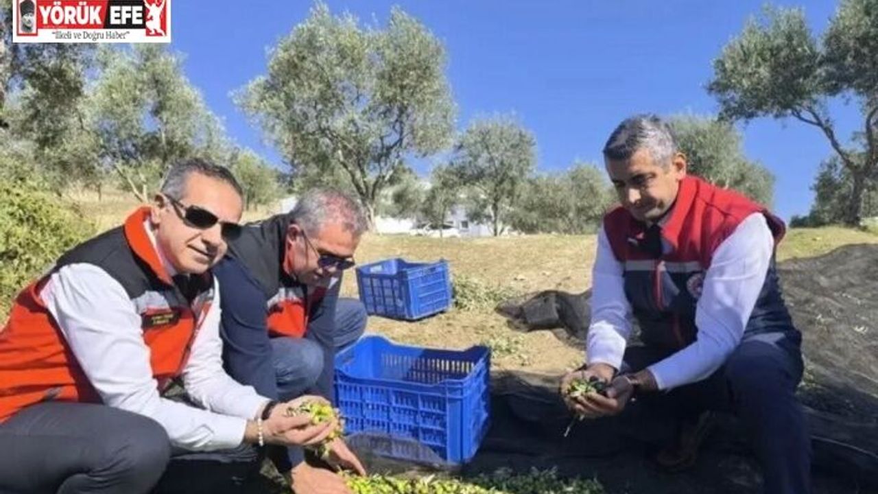 Aydın’da bir yılda 3 bini aşkın tarımsal denetim yapıldı