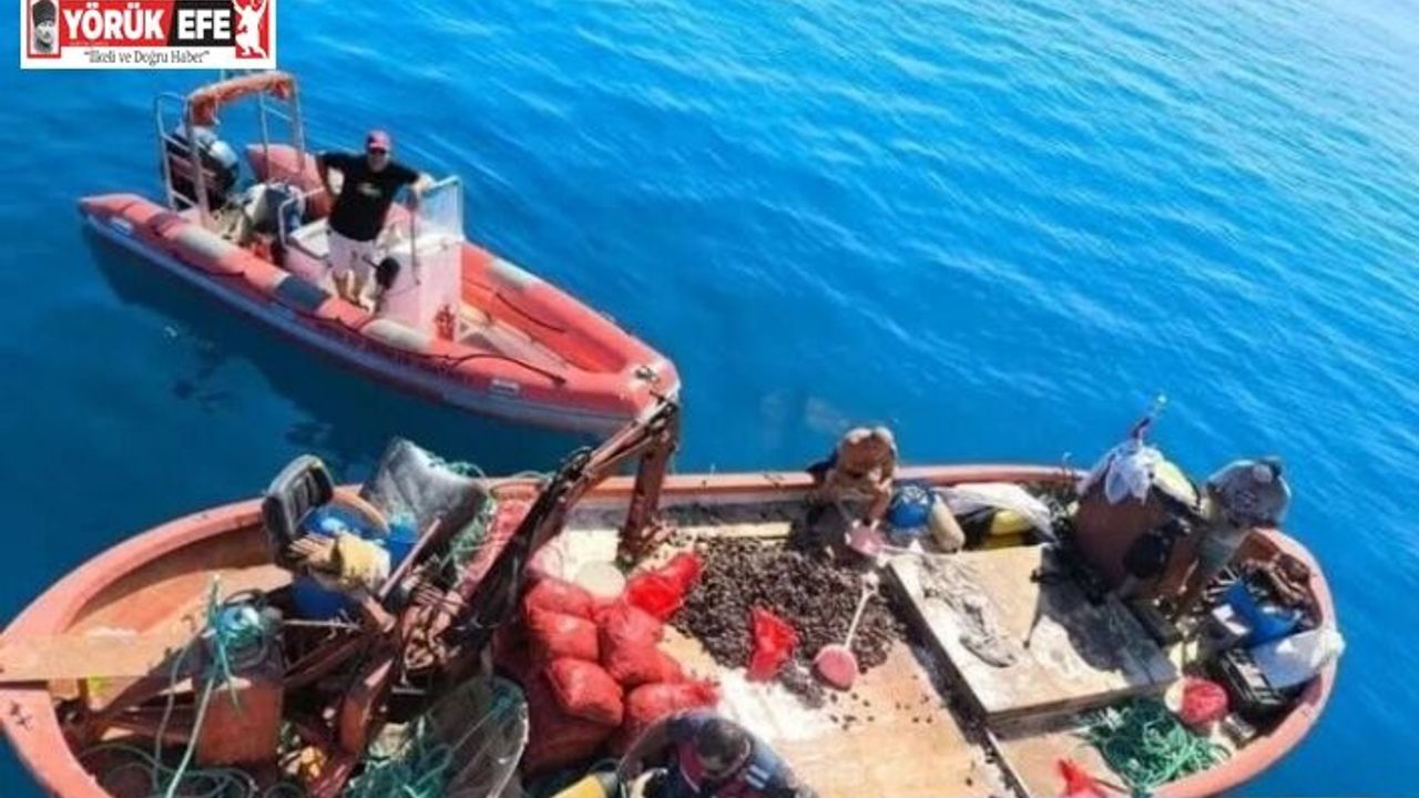 Aydın’da yasa dışı avcılığa geçit verilmiyor: "Bir yılda 5 bin denetim yapıldı"