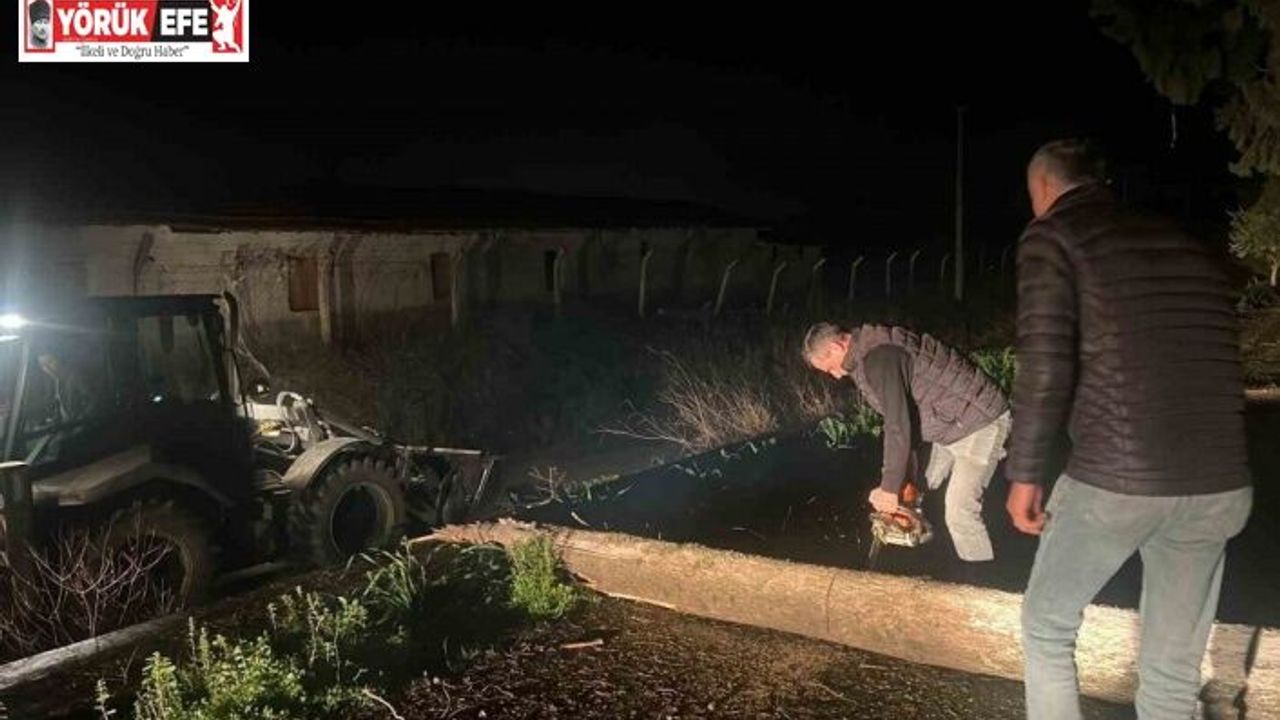 Fırtına mezarlıkta ağaçları devirdi, belediye ekipleri anında müdahale etti