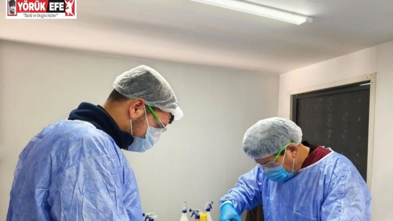 Germencik Belediyesi sokak hayvanları için kısırlaştırma çalışmalarını sürdürüyor