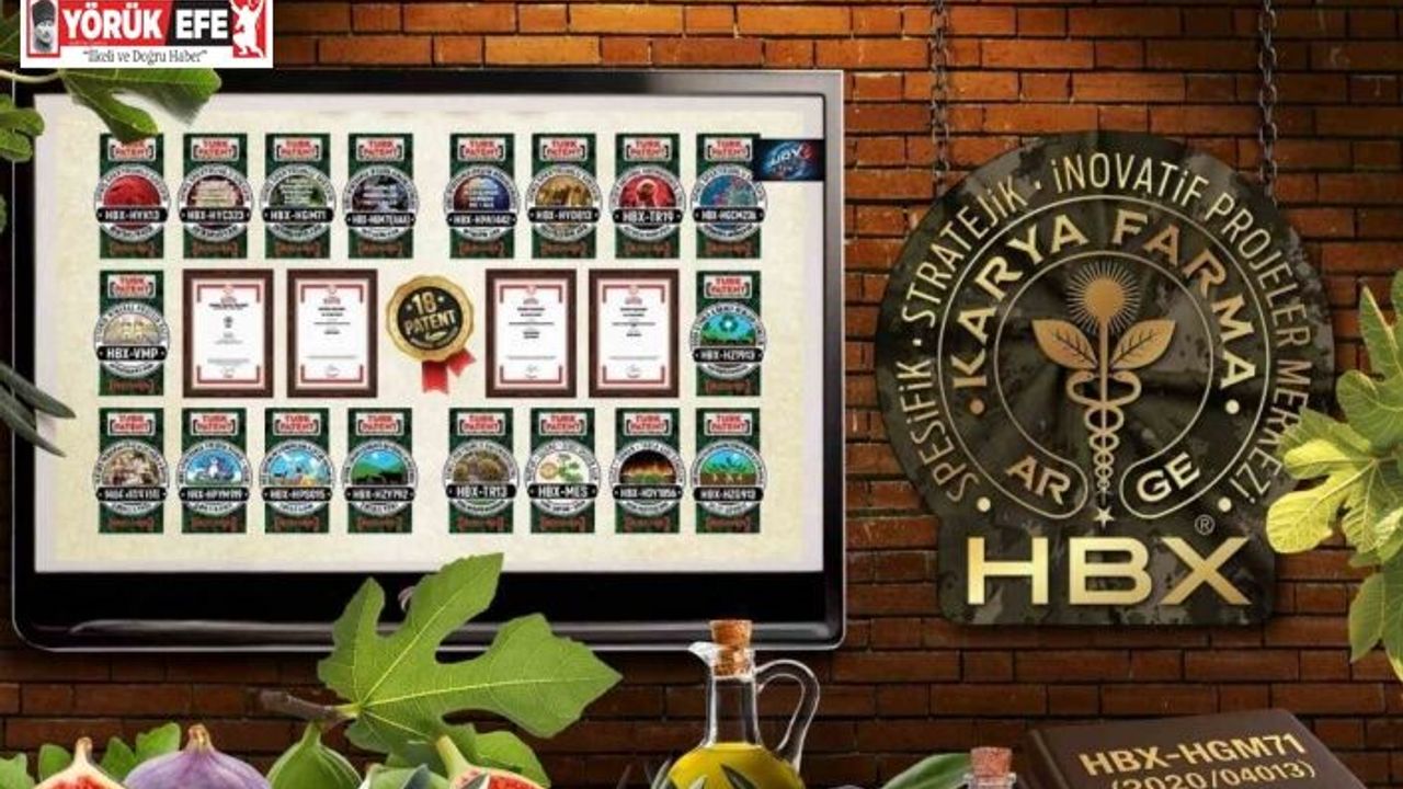 Karya Farma HBX Ar-Ge; ’İncir ve Zeytin Bilimsel Araştırmalar Akademisi’ kuracak