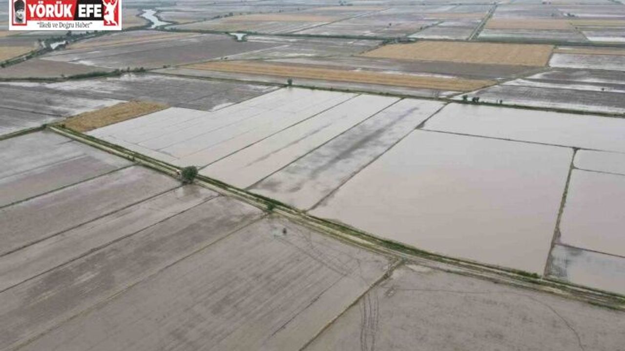 Söke’nin 2026 yılı ürün deseni belli oldu