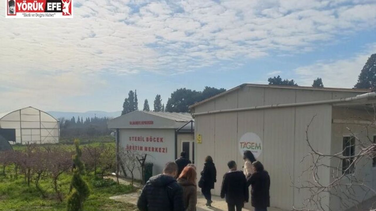 Tarım zararlılarıyla mücadelede 2026 yılı yol haritasının çizildi