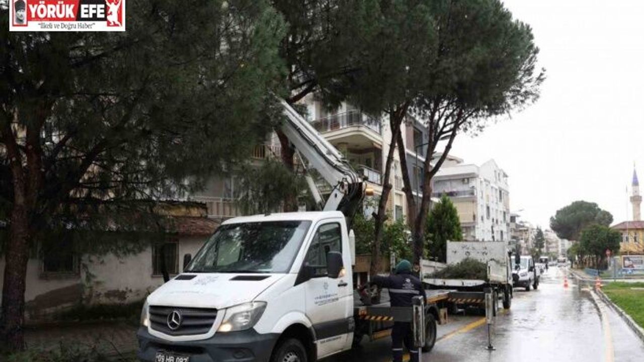 Aydın Büyükşehir Belediyesi’nden Efeler’in yeşil alanlarına bakım