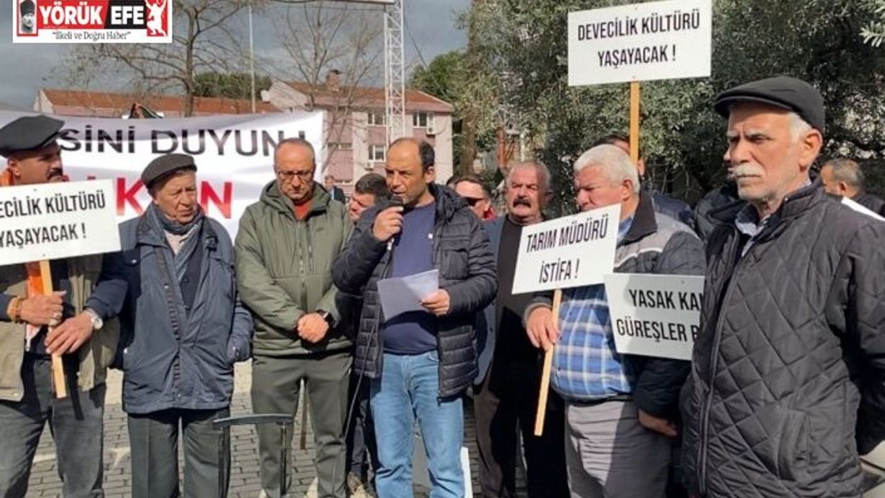 DEGÜF üyeleri deve güreşlerinin yapılmamasını protesto etti