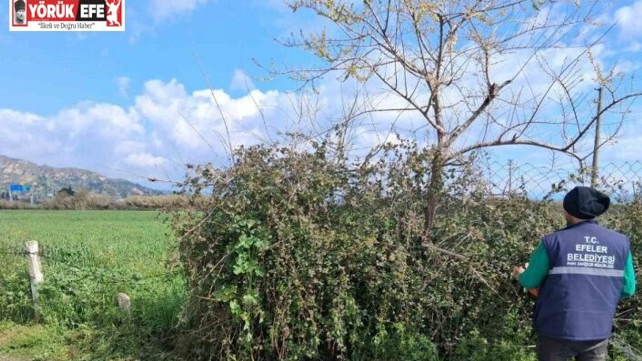Efeler’in yeşil alanlarında temizlik çalışması sürüyor