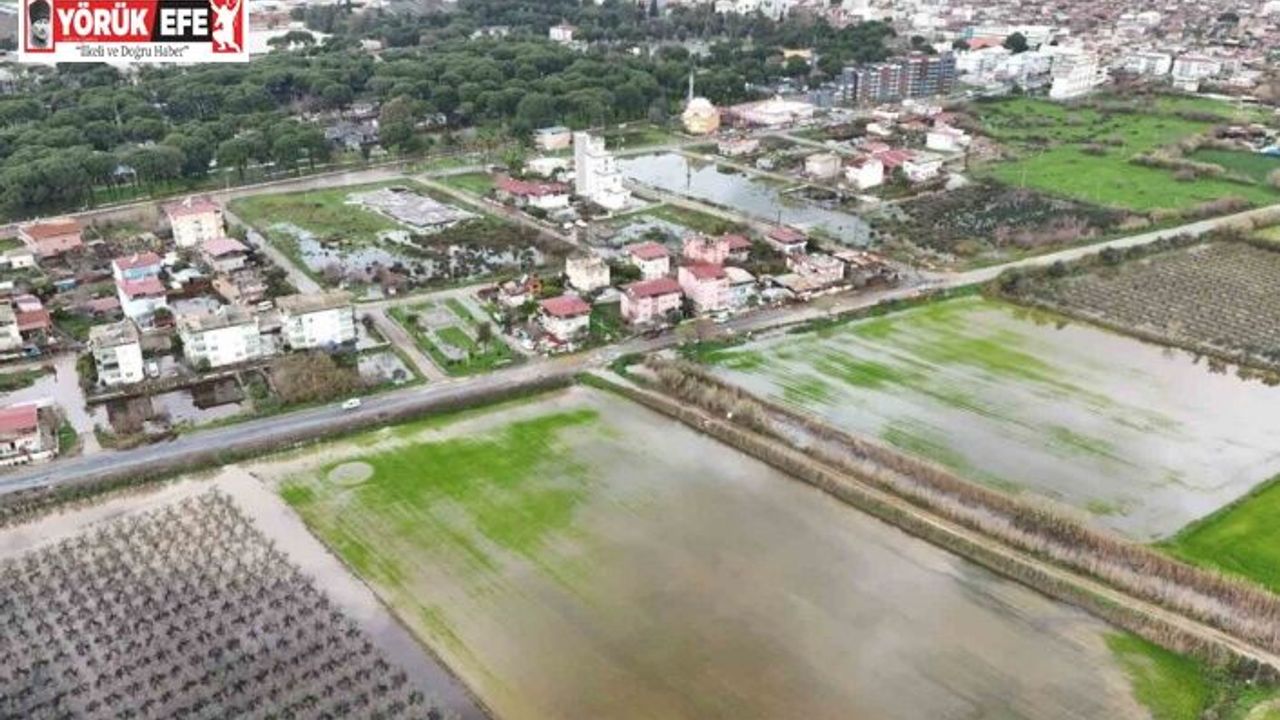 Nazilli’de mahalle sular altında kaldı, ekipler anında müdahale etti