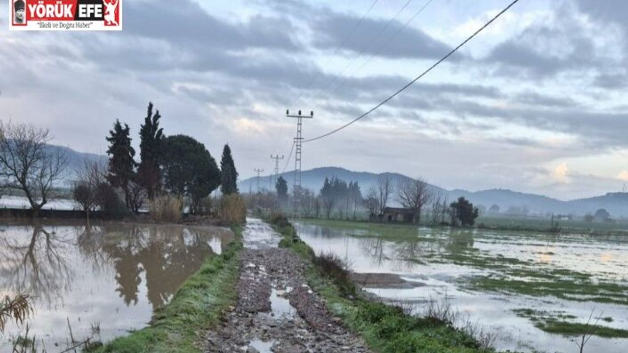 Söke’de aşırı yağışlar sonrası tarım alanlarında hasar tespiti