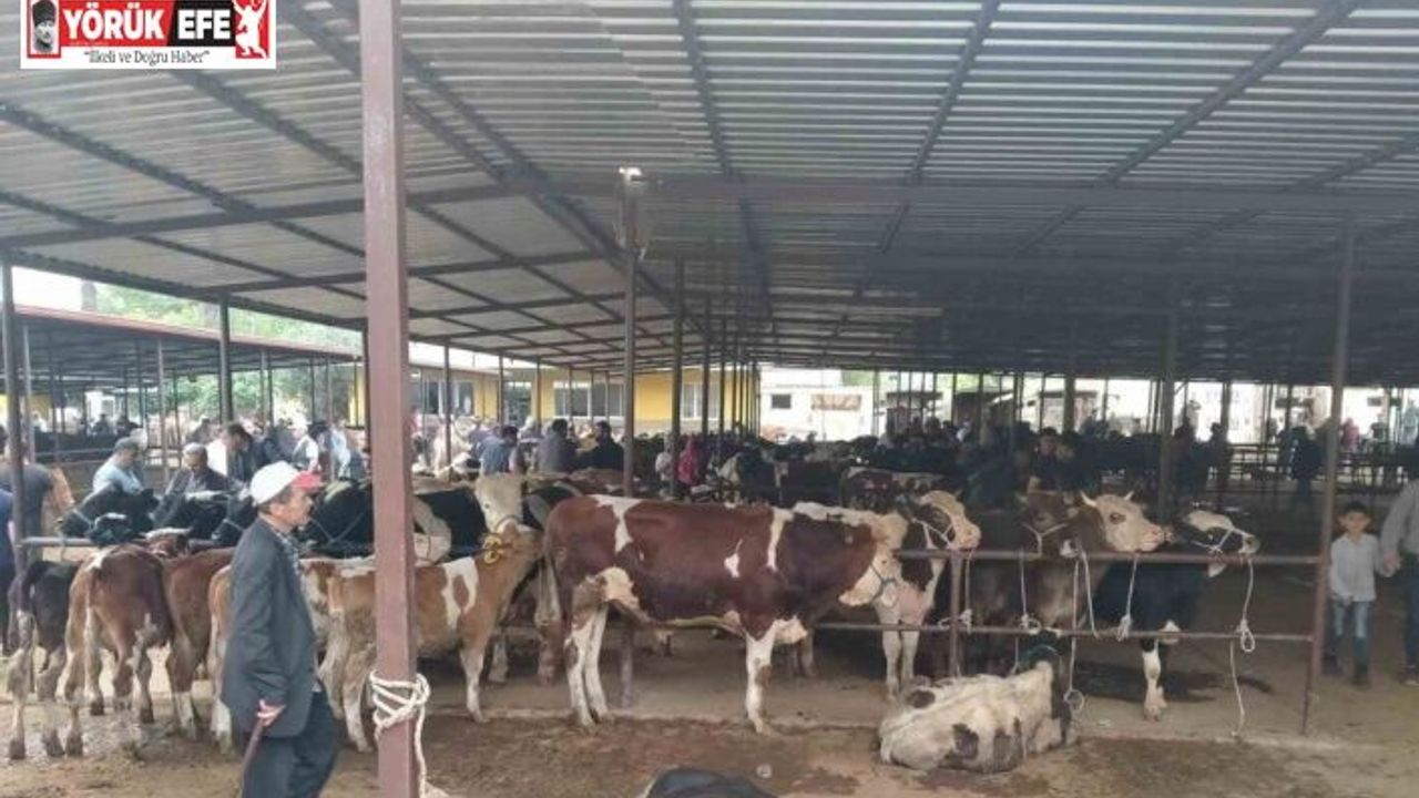 Aydın’da hayvan pazarlarında yeni dönem: "Kurallar ve saatler belirlendi"