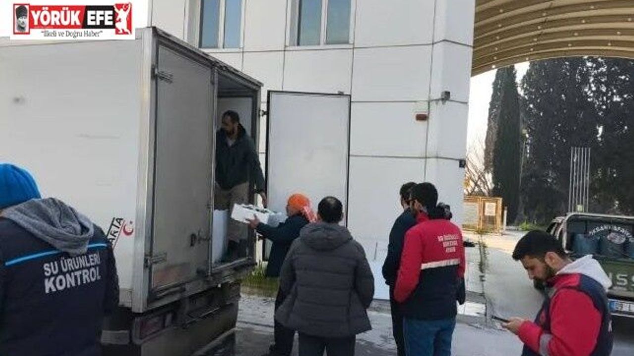 Aydın’da nakil belgesiz 290 kasa balığa el konuldu