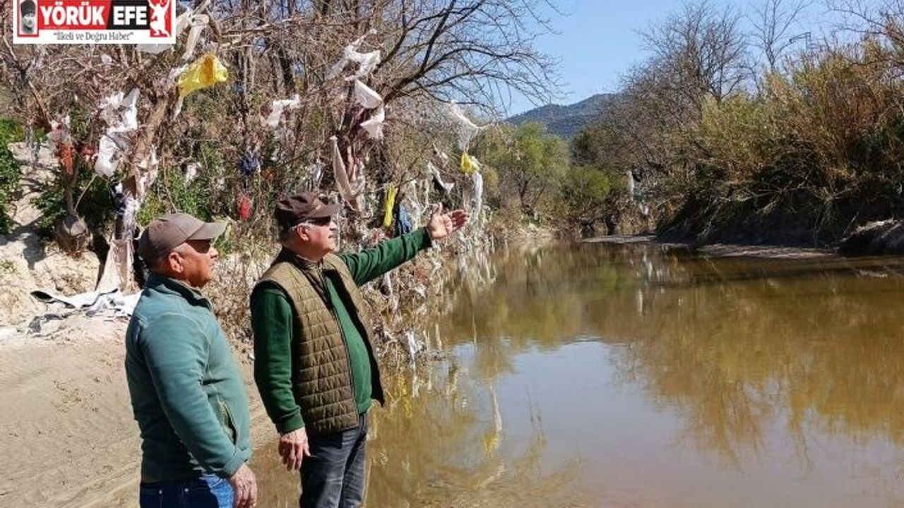 Aydın’ın içme suyunu karşılayacak Sarıçay’da kirlilik alarmı