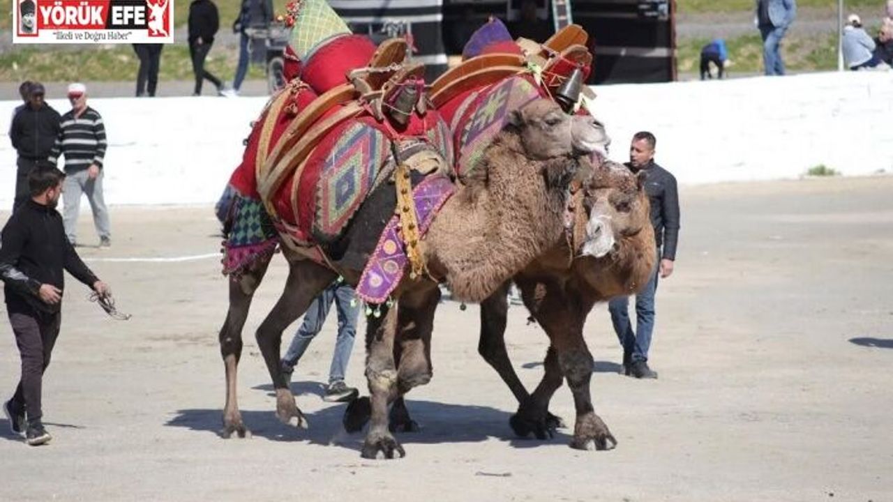 Başkan Kaya: "Bu yıl sezonun ilk güreşlerini yapmak bizlere nasip oldu"