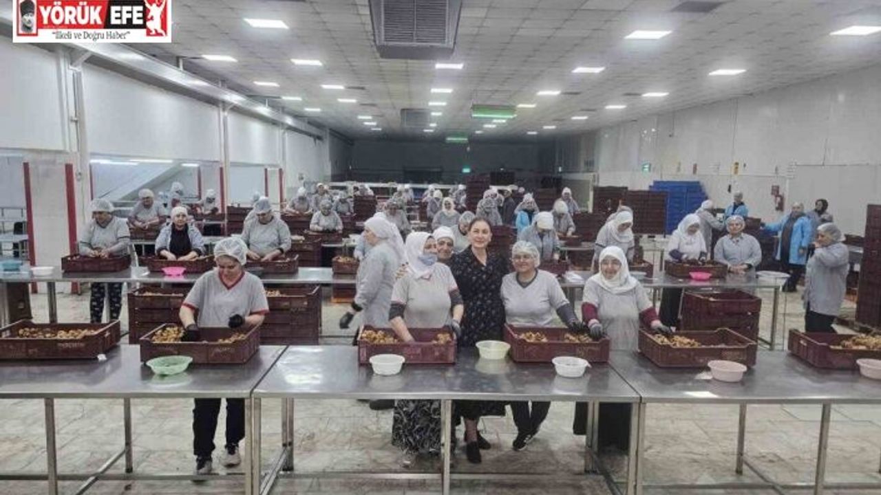 Kaymakam Kan: "Kadınlar yine kadınların hayatını kolaylaştırıyor"