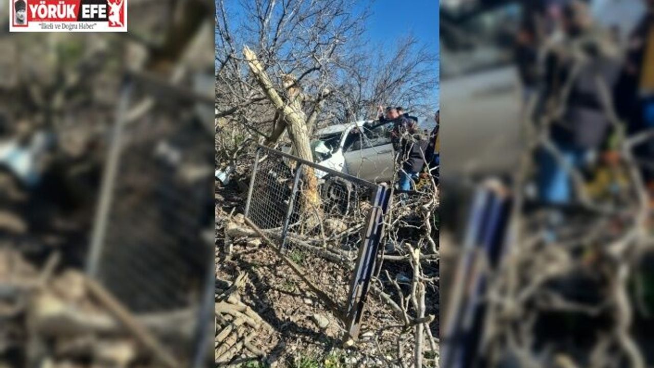 Kontrolden çıkan otomobil ağaçlara ok gibi saplandı: 2 ölü, 1 ağır yaralı
