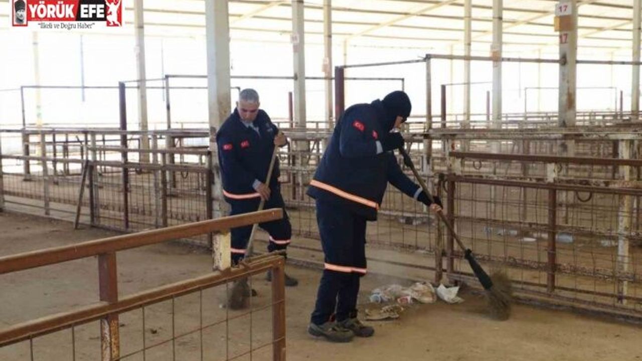 Nazilli Hayvan Pazarı 7 ay sonra yeniden açılıyor