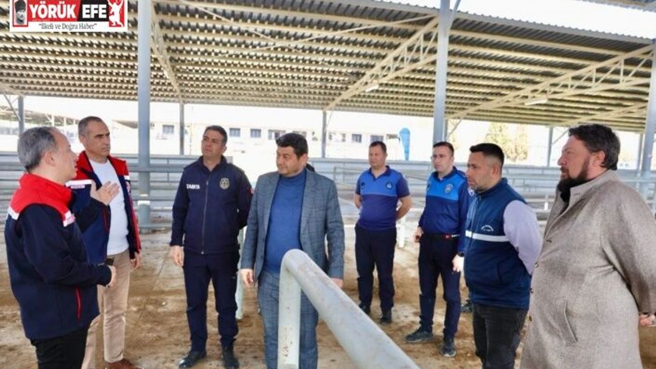 Şap hastalığı nedeniyle kapalı olan hayvan pazarı yeniden açılıyor