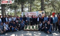 Kuyucak’ta 220 bin domates fidesi dağıtıldı