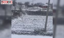 Aydın’ın yüksekleri beyaza büründü