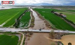 Büyük Menderes nehri, köprü seviyesine yükseldi