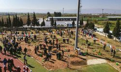 Aydın'da 'Türkiye'nin Gücü Orman' programı gerçekleştirildi