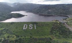 Aydın'da yağmurlar bereket getirdi, barajlar canlandı