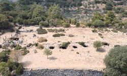 Aydın'ın 'öksüz' antik kenti Amyzon, gün yüzüne çıkmayı bekliyor