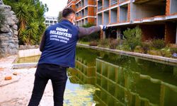 Didim Belediyesi'nden sinekle mücadele