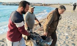 Kuşadası'nda 2 yeşil deniz kaplumbağası ve 1 caretta caretta ölü bulundu