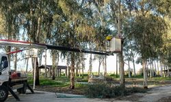 Tepecik Mesire Alanı yenileniyor