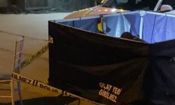 Aydın'daki 'kanlı' kavganın şüphelileri polise teslim oldu