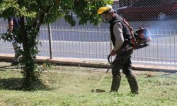 Bozdoğan'da çevre düzenleme çalışmaları sürüyor