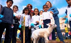 Didim'de fidanlar toprakla buluştu