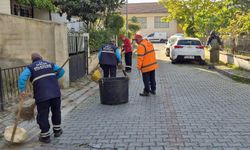 Efeler Belediyesi ekipleri kent genelinde çalışmalarını sürdürüyor