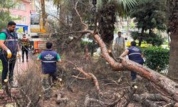 Efeler Belediyesi parkları güvenli hale getiriyor